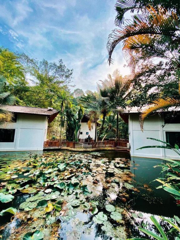 בנטונג Bidaisari Resort מראה חיצוני תמונה